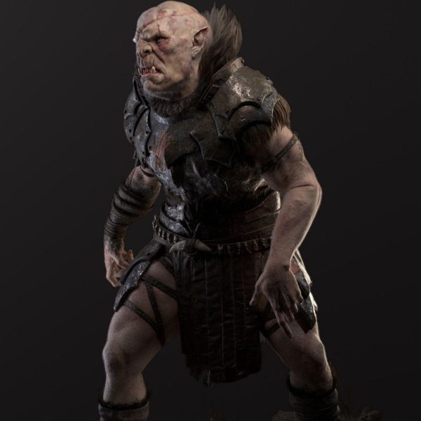 LensCrafted - Image 3